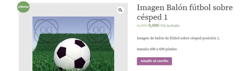 como_añadir_al_carrito
