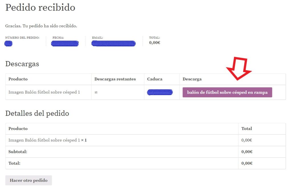 Pedido_recibido_botón_descarga_archivo